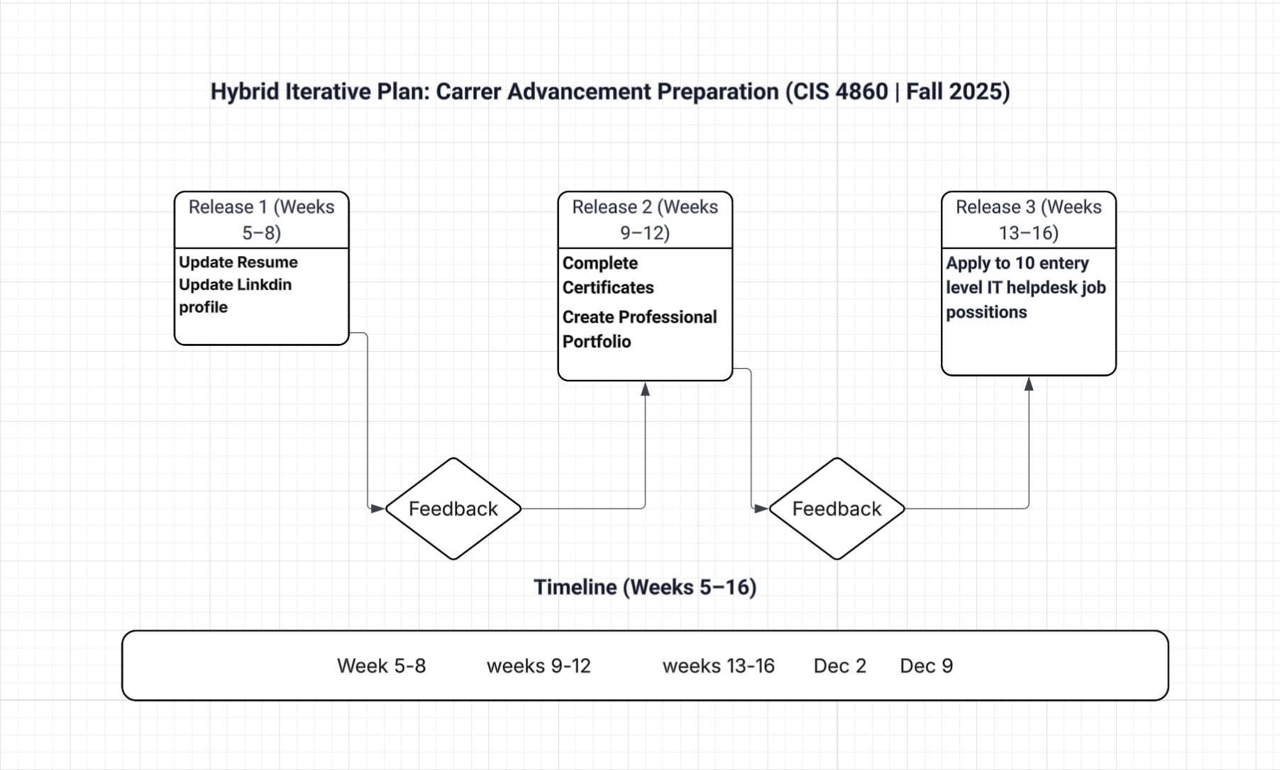 Hybrid iterative project methodology showing phased releases with feedback loops and decision points